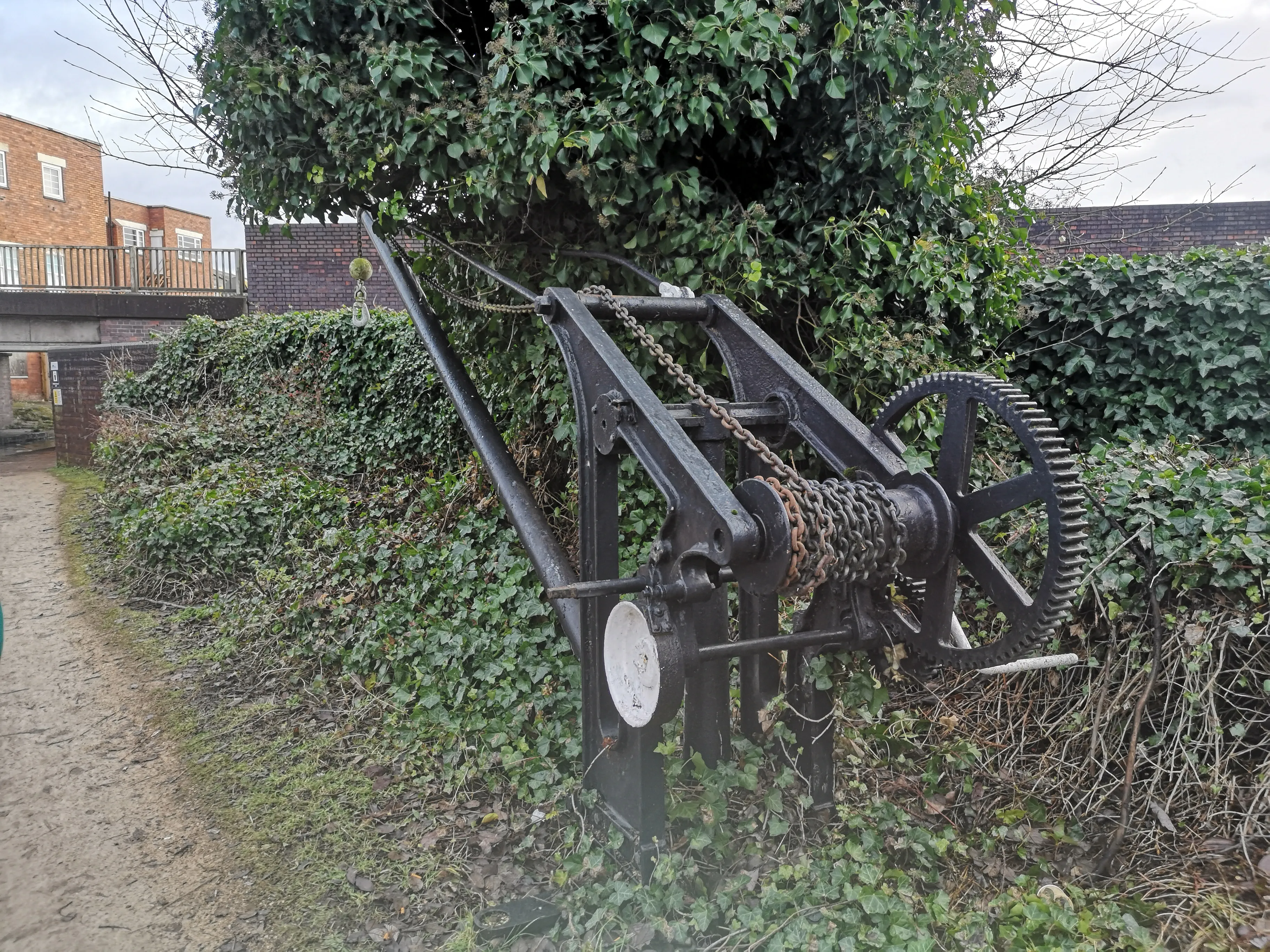 Second image in the walk series: a different viewpoint along the same West Midlands path, January 2021